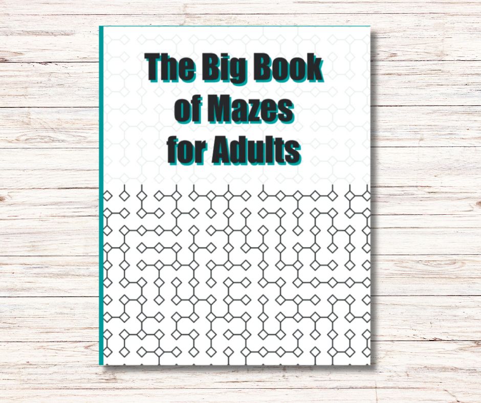 The big book of mazes for adults